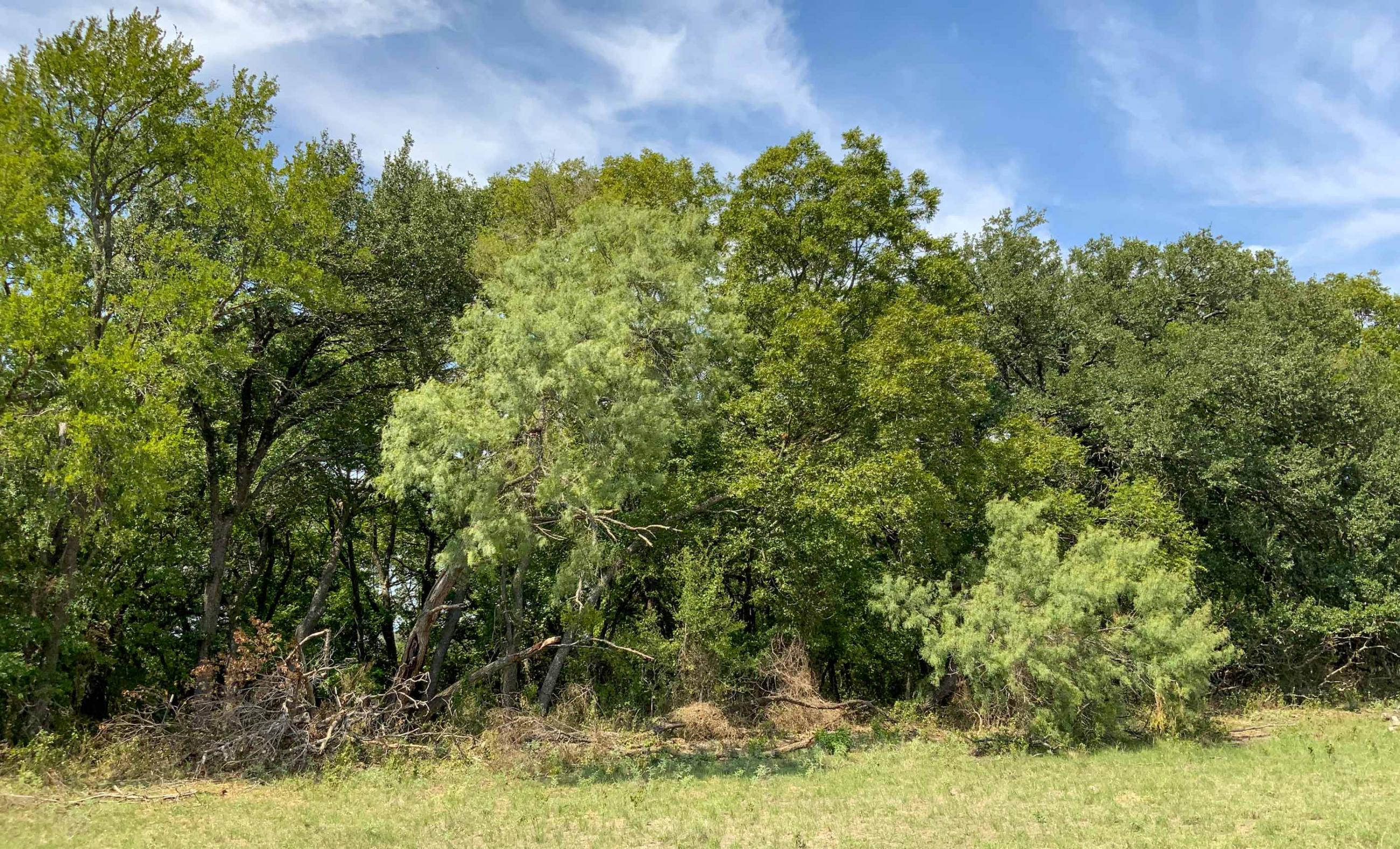 Chappell Creek Ranch | Chas S. Middleton